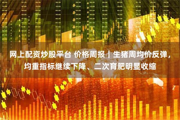 网上配资炒股平台 价格周报｜生猪周均价反弹，均重指标继续下降、二次育肥明显收缩