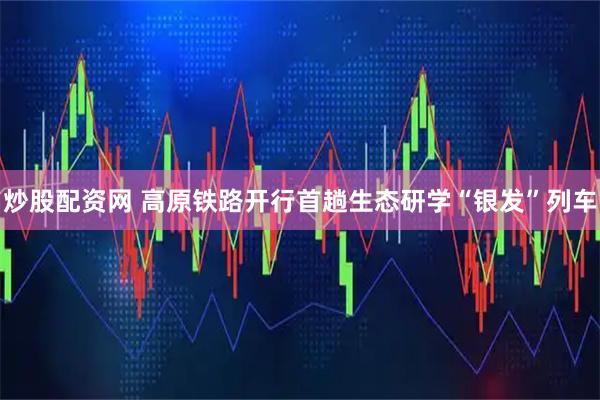 炒股配资网 高原铁路开行首趟生态研学“银发”列车