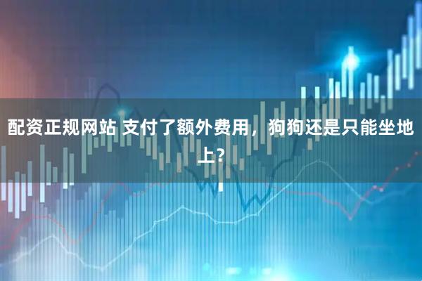 配资正规网站 支付了额外费用，狗狗还是只能坐地上？